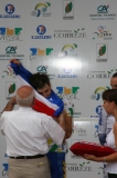 Previous image